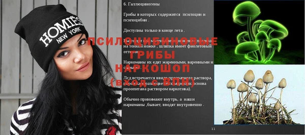 гашик Абдулино