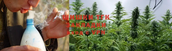 дживик Абаза