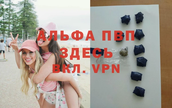 дживик Абаза