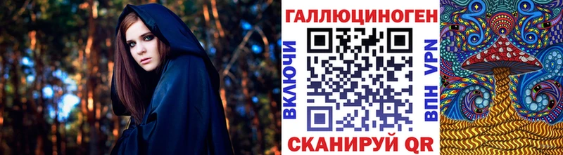 купить наркоту  Новотитаровская  Галлюциногенные грибы Psilocybine cubensis 
