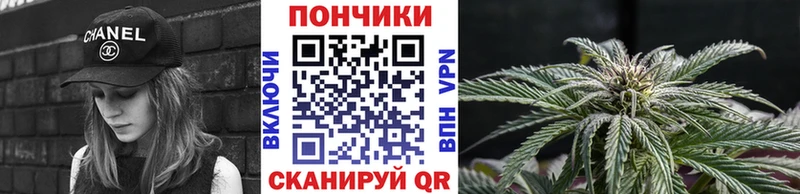 Конопля индика  Новотитаровская 